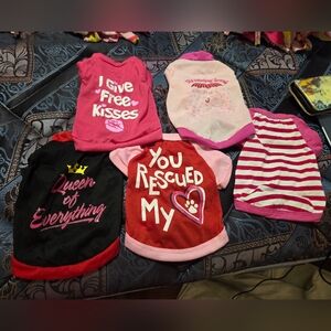 Pet Apparel 5 pc Set - Pink, Red, Black